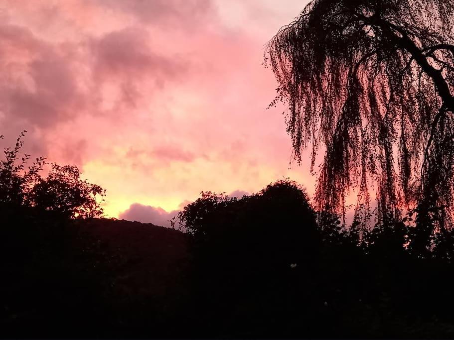 Tan Y Coed'S Rosemary Cabin Conwy Zewnętrze zdjęcie