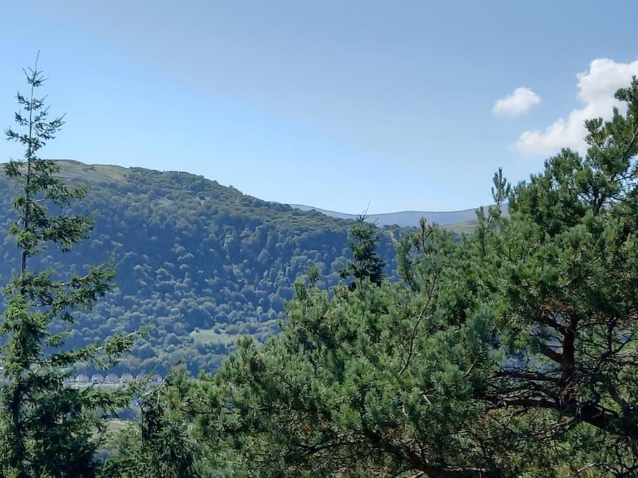 Tan Y Coed'S Rosemary Cabin Conwy Zewnętrze zdjęcie