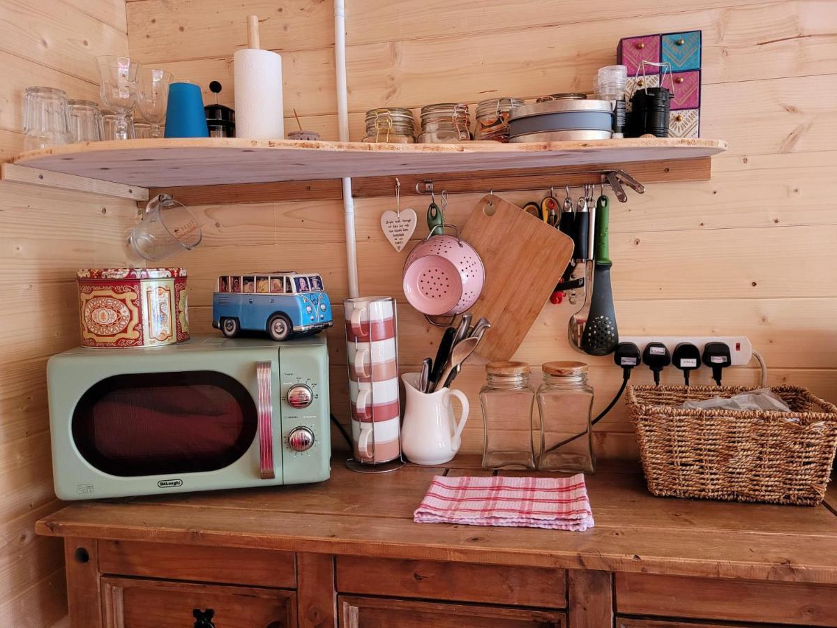 Tan Y Coed'S Rosemary Cabin Conwy Zewnętrze zdjęcie